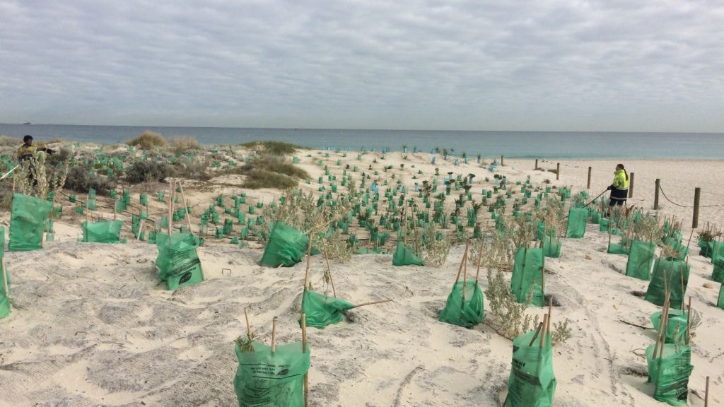freiwilligenarbeit-ozeanien-strandarbeit-freiwilligenarbeit-blog-natucate