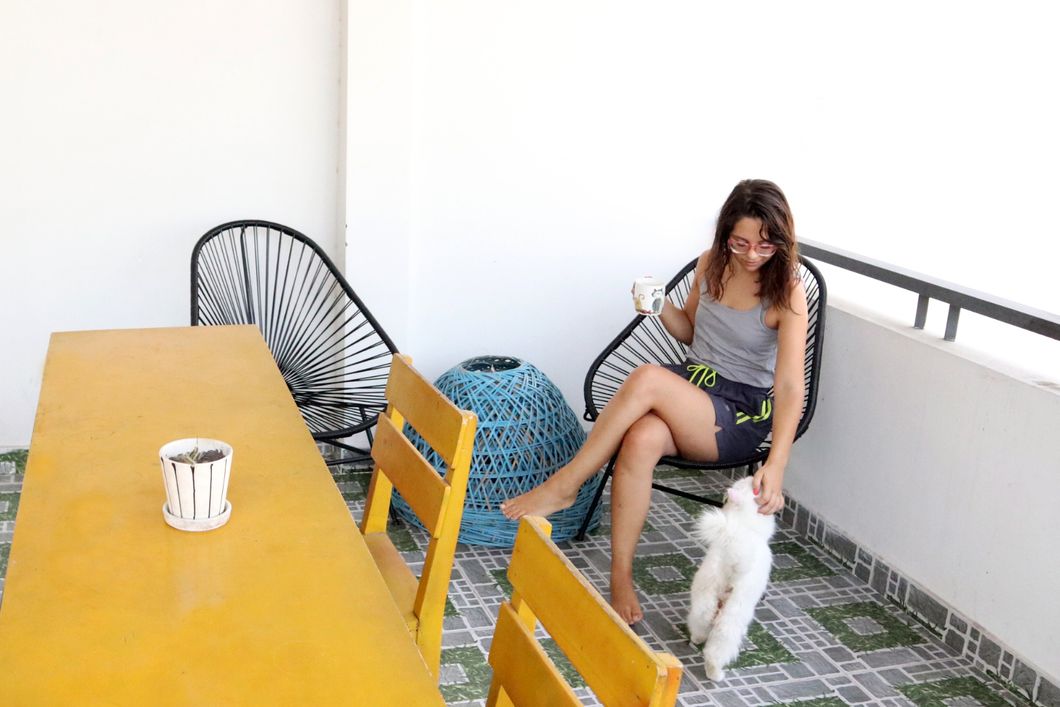 freiwilligenarbeit-vietnam-da-nang-tierschutz-volunteer-balkon-natucate