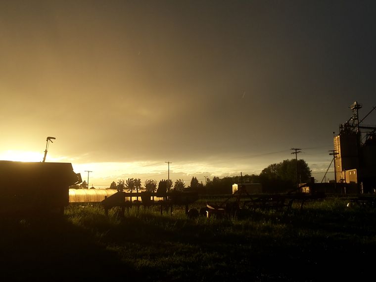 erfahrungsbericht-praktikum-usa-landwirtschaft-natucate