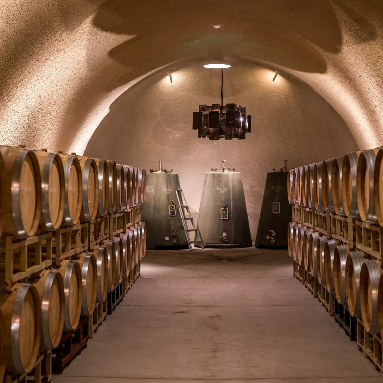 erfahrungsberichte-praktikum-usa-weinbau-michael-weinlagerung