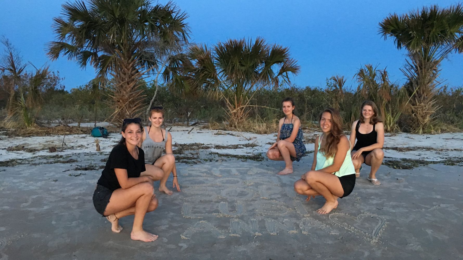 erfahrungsbericht-usa-florida-mustang-tierschutz-natucate