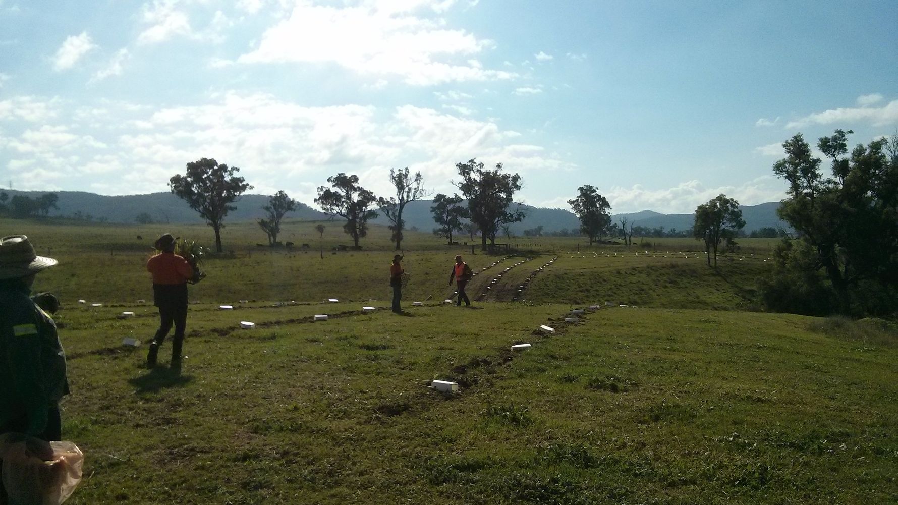 freiwilligenarbeit-ozeanien-felder-freiwilligenarbeit-blog-natucate