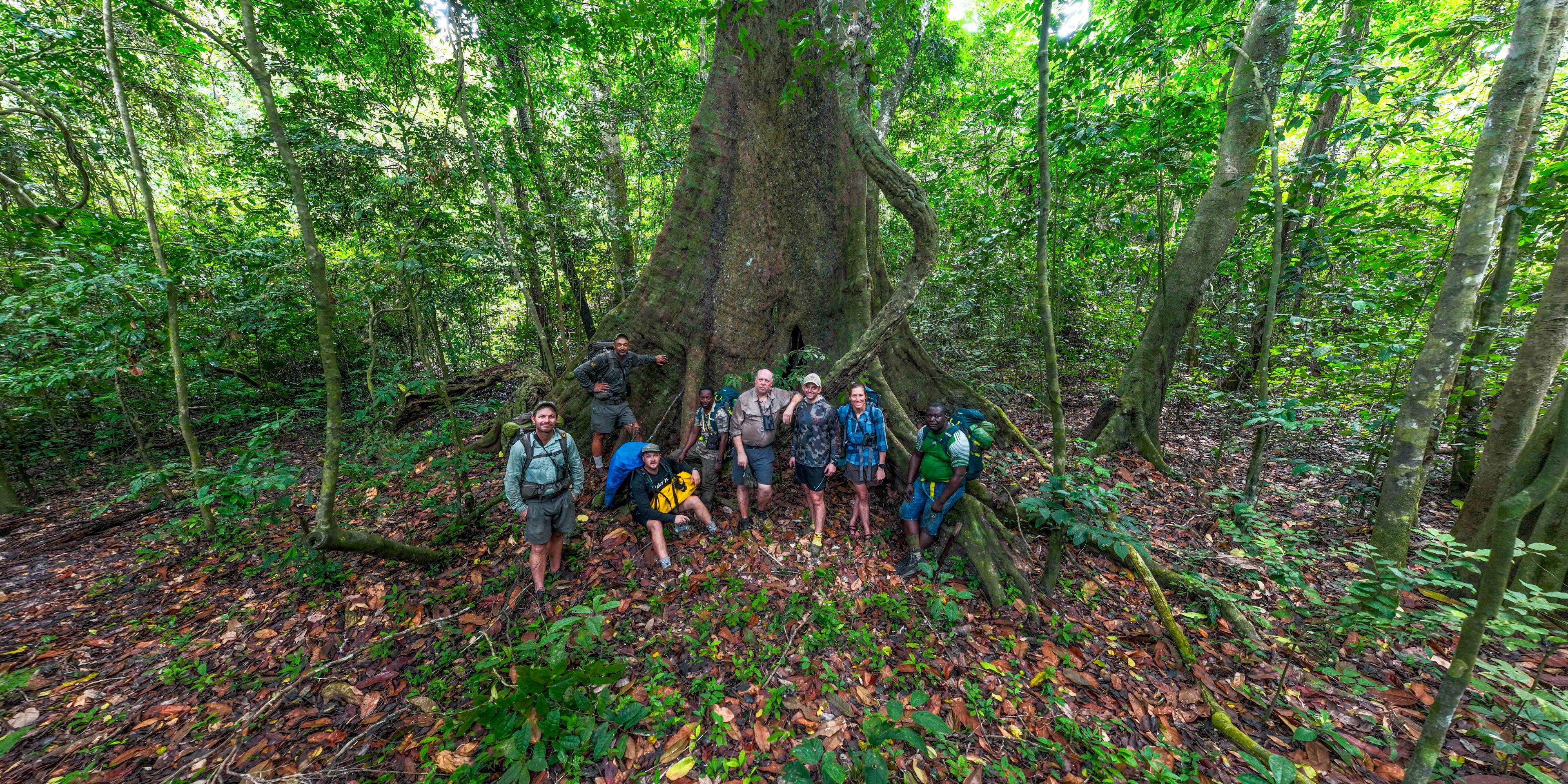 natucate-nature-travel-gabon-wilderness-trails-rainforest-group
