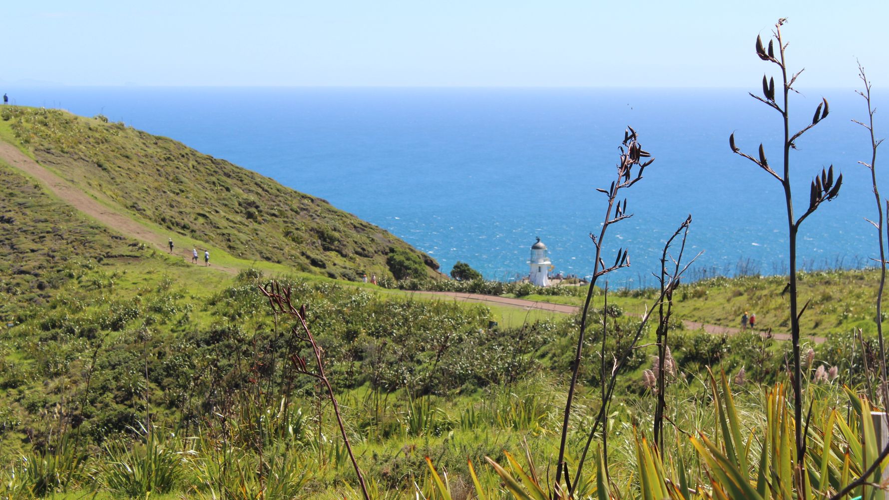 Cape Reinga ist der noerdlichste Punkt Neuseelands und gilt als touristen Attraktion