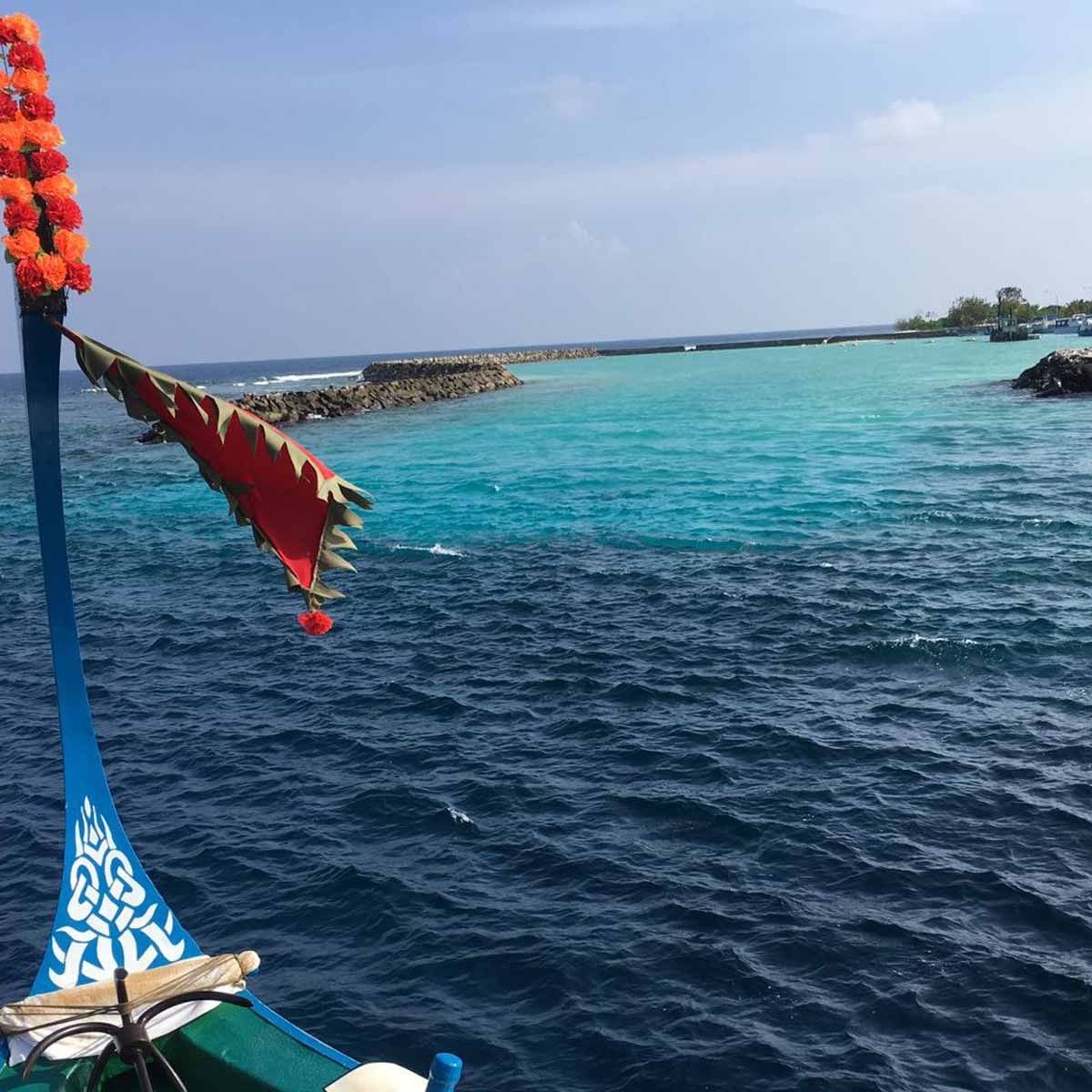 freiwilligenarbeit-malediven-erfahrungsbericht-kundenfotos-artenschutz-kueste-natucate