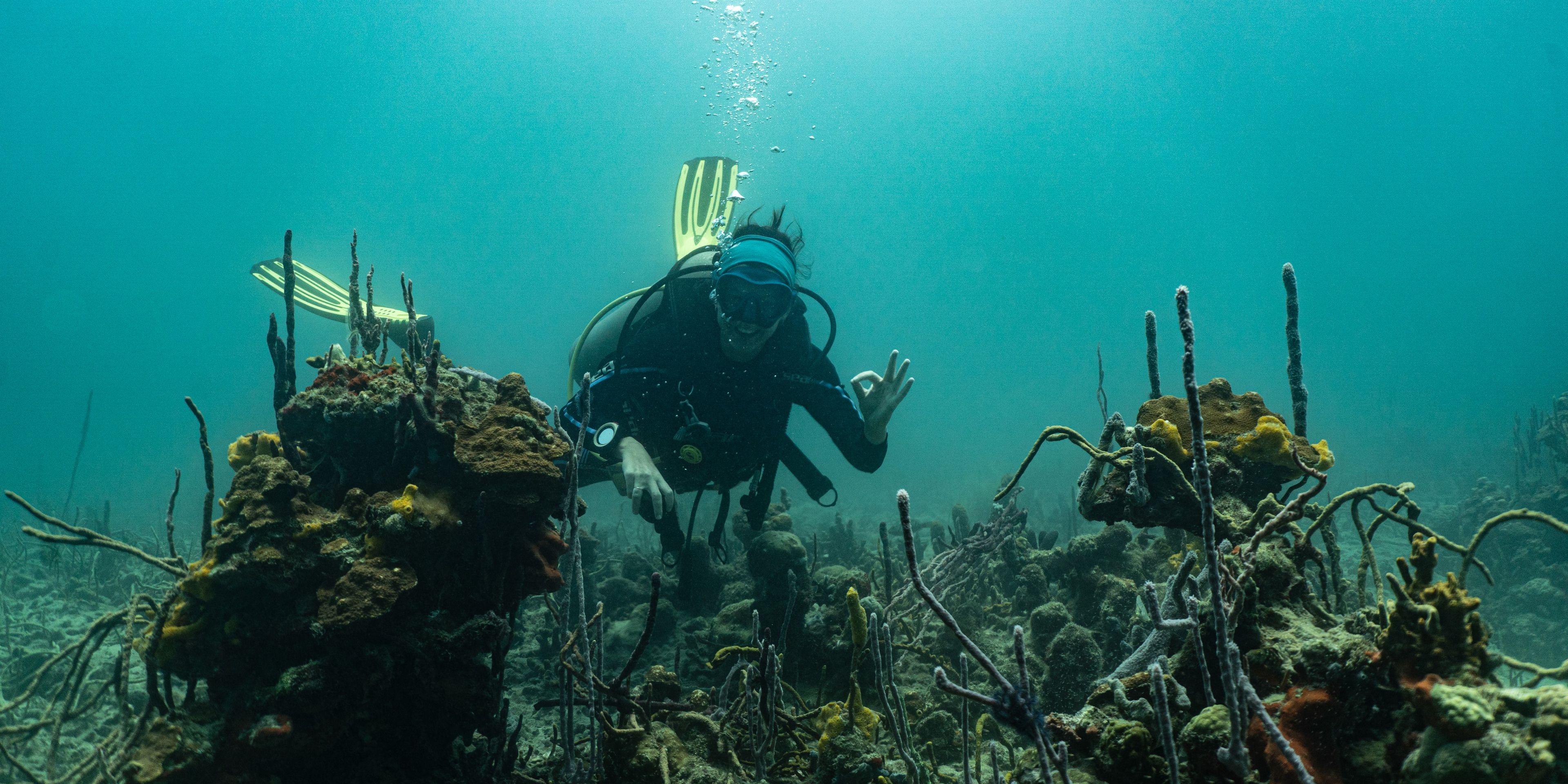 natucate-panama-volunteering-dive-johana