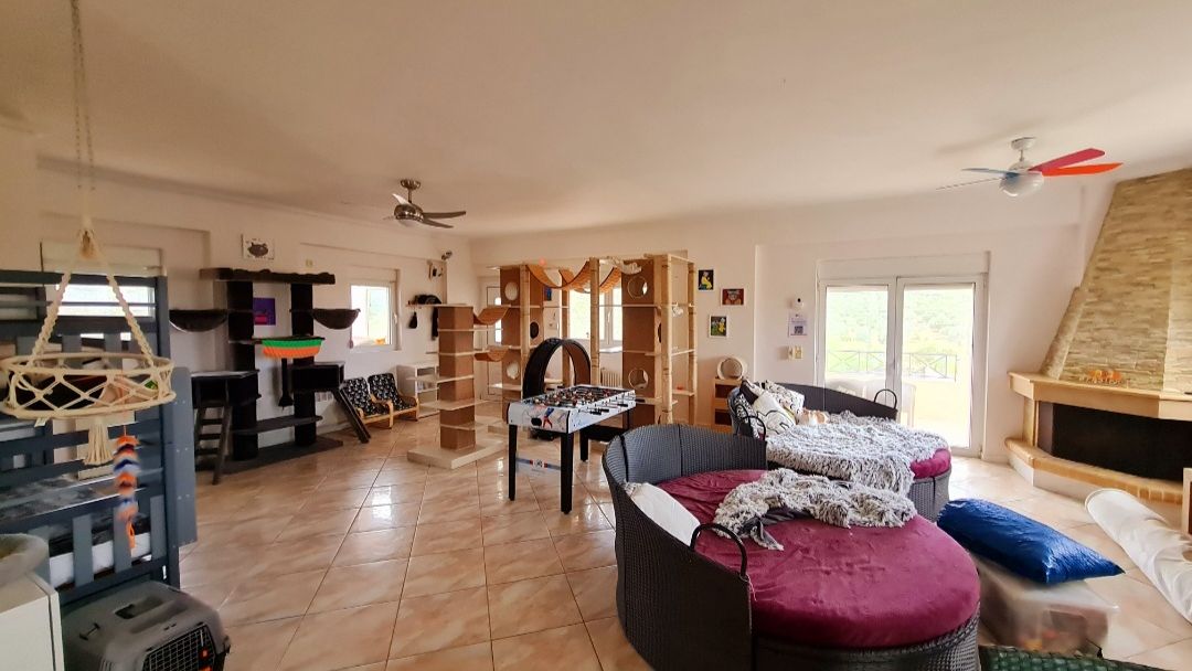 freiwilligenarbeit-griechenland-tierschutz-elli-29