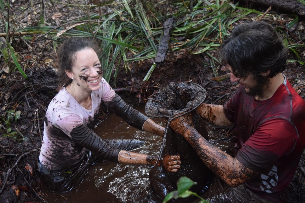 Volunteers in Borneo dedicate themselves to nature conservation in the midst of the Sabangau Forest