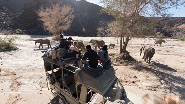 blog-ratgeber-reiseratgeber-familienreise-afrika-namibia-artenschutz-natucate