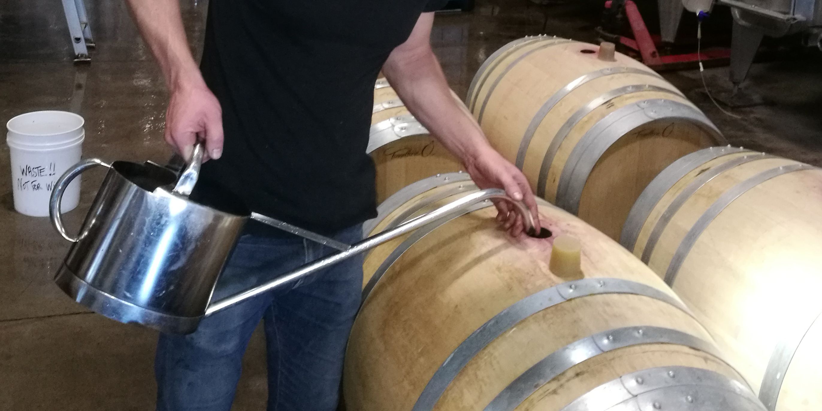 Winzerei-Praktikant auf einem Betrieb in Kalifornien bei der Arbeit