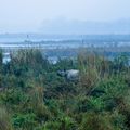 natucate-nepal-country-info-national-park-rhino
