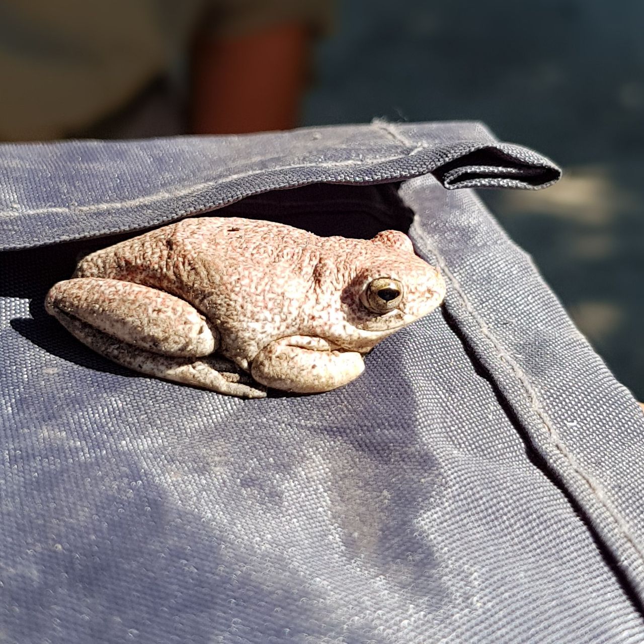 erfahrungsbericht-rangerkurs-field-guide-level-1-botswana-okavango-delta-alexandra-frosch-natucate
