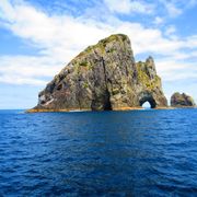 erfahrungsberichte-freiwilligenarbeit-naturschutz-neuseeland-lea-wasser-ozean