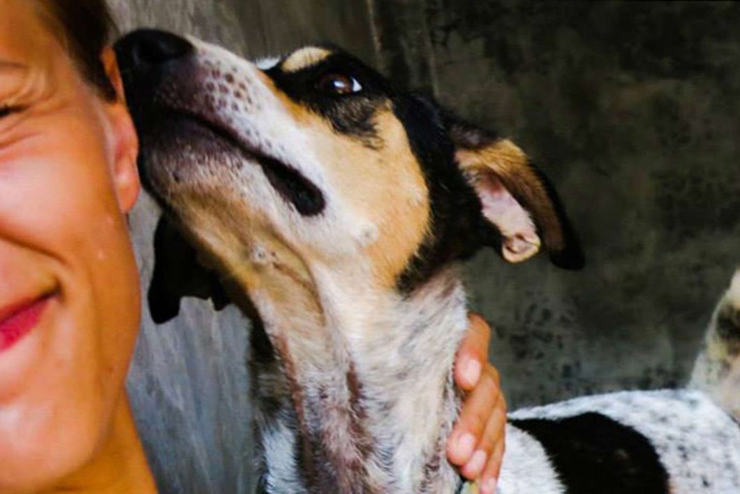 Freiwilligenarbeit in Suedostasien: Eine Tierschutz-Voluntaerin mit Hund in Thailand