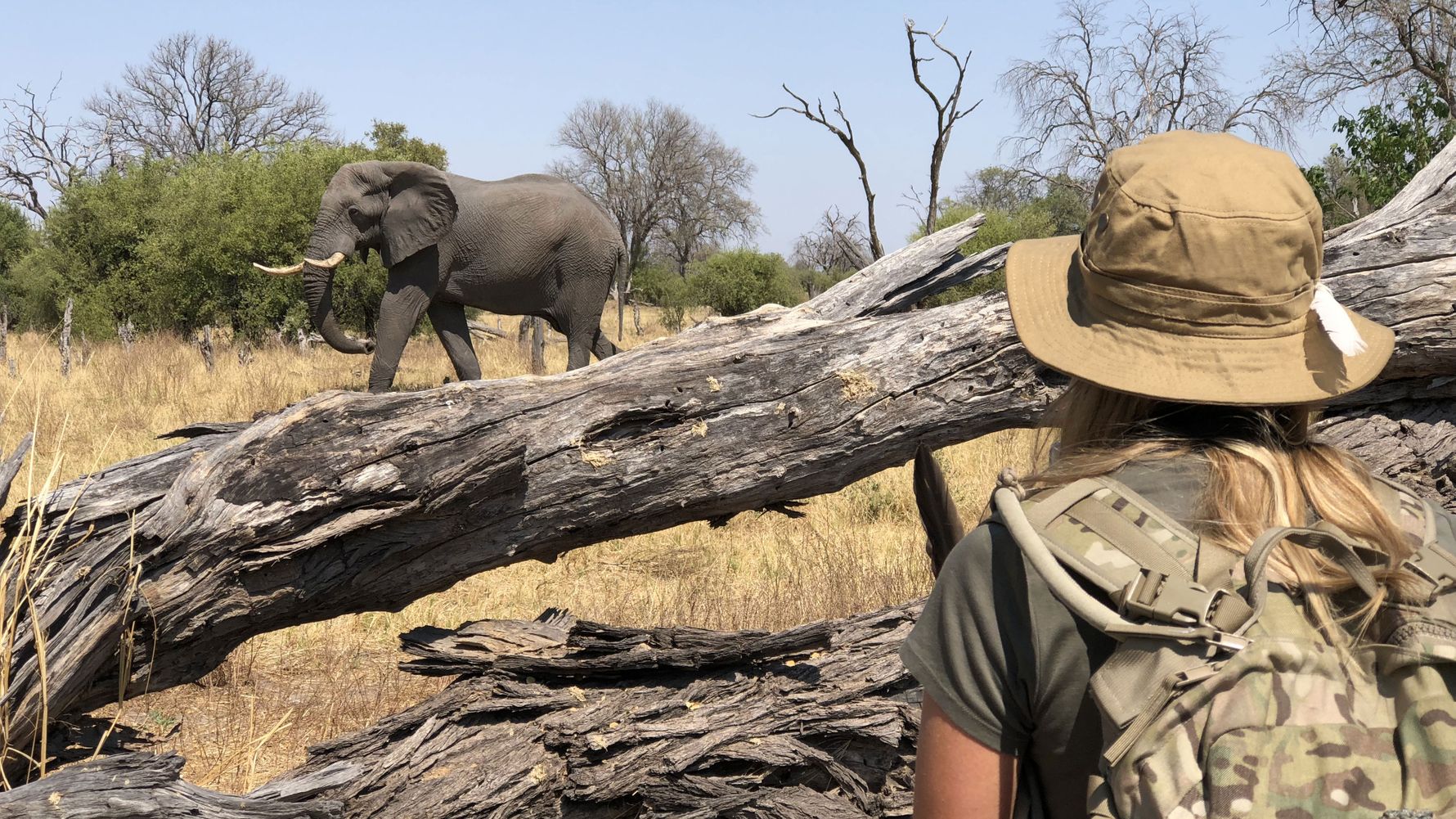 landingpage-auslandsjahr-afrika-rangerkurs-natucate