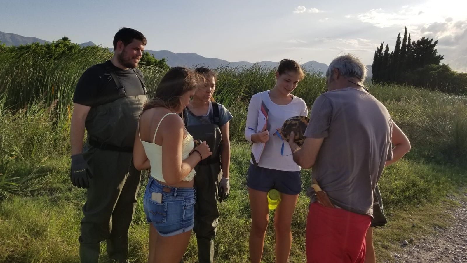 Freiwilligenarbeit Europa: Naturschutz-Volunteers in Spanien betrachten eine Schildkroete