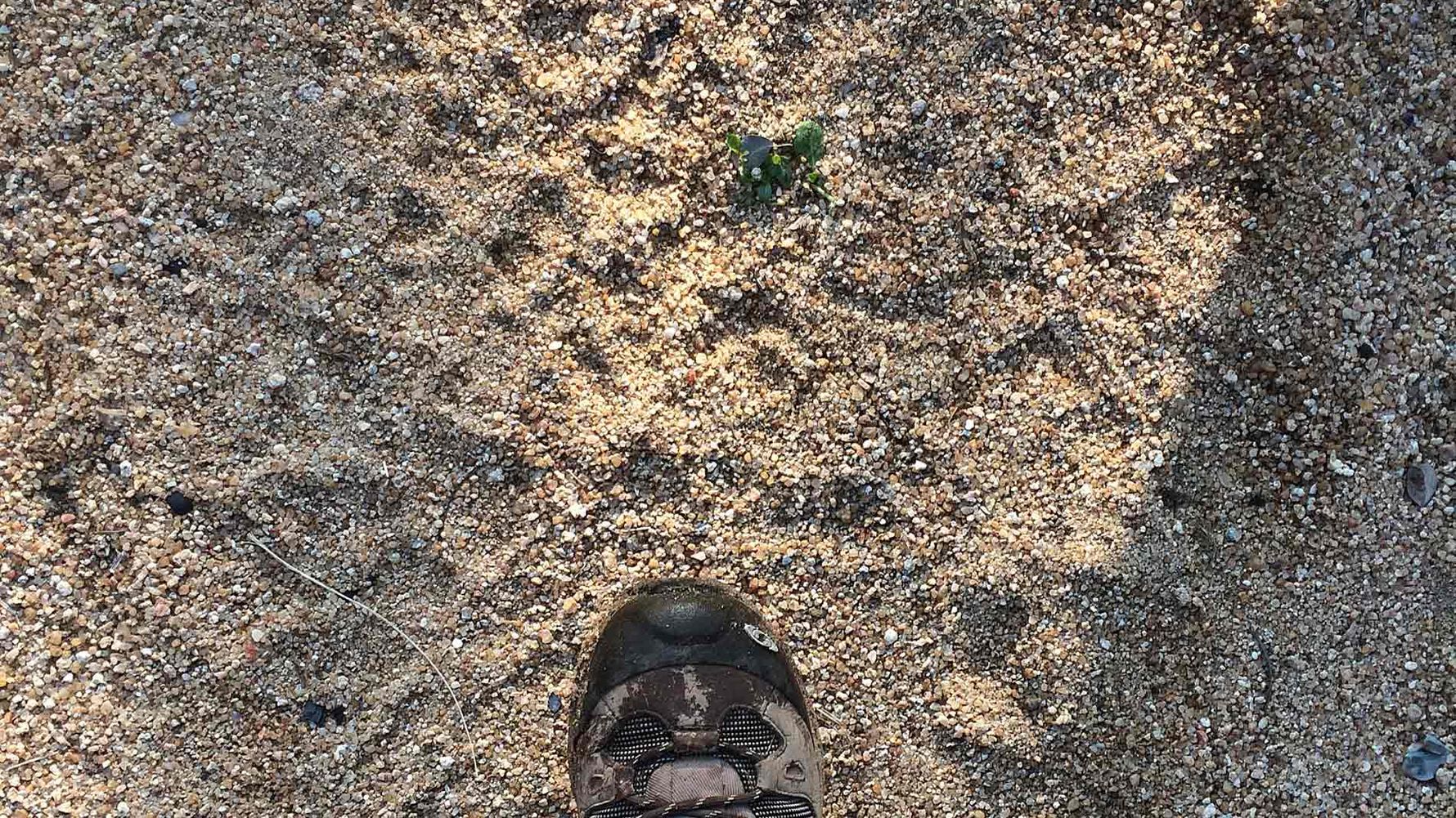 erfahrungsberichte-suedliches-afrika-pfg-rangerausbildung-tierspur-natucate