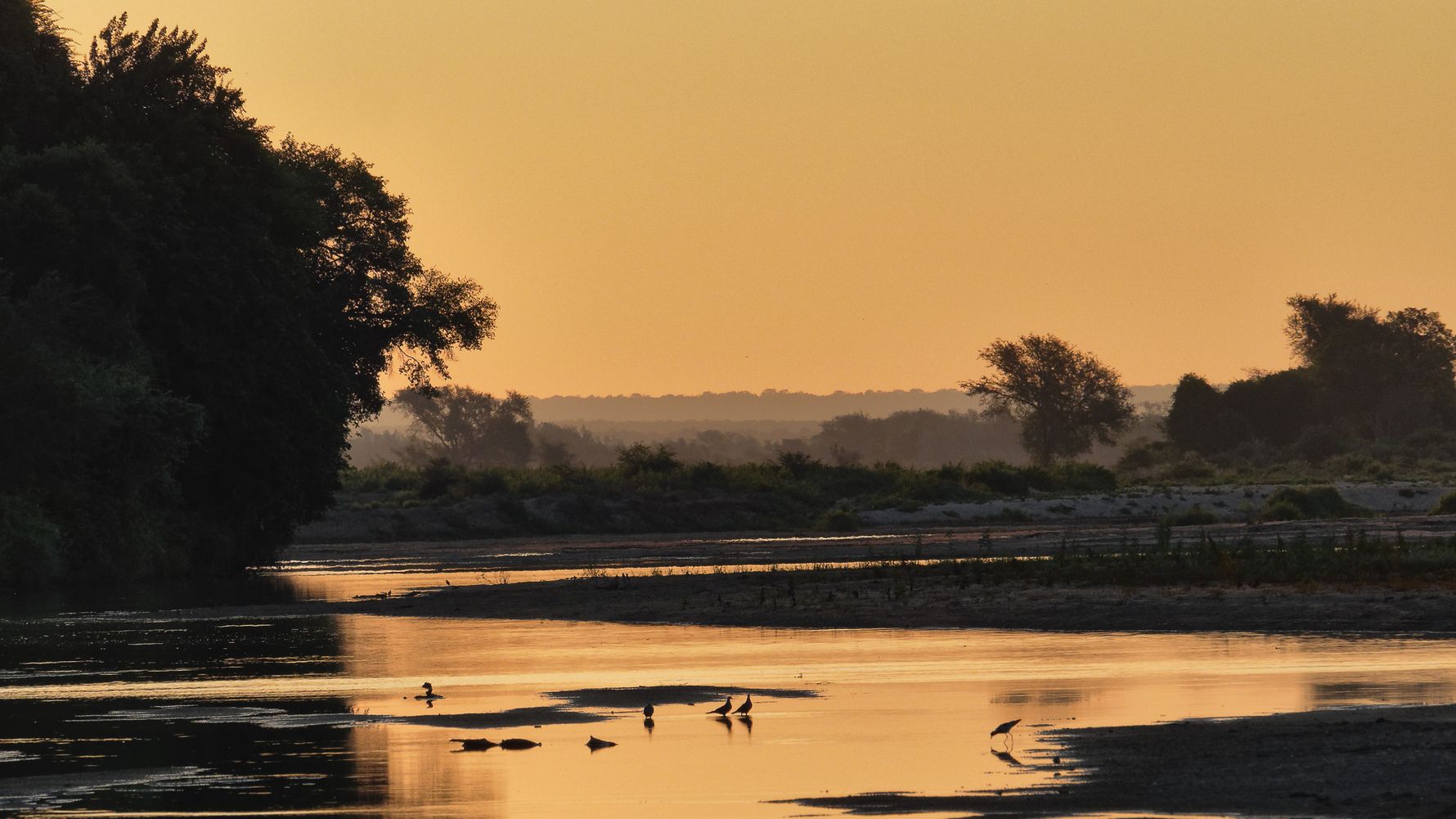 Naturguide: Ein Wasserloch in der afrikanischen Savanne in der Daemmerung