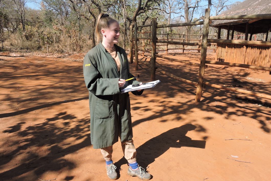 freiwilligenarbeit-sambia-artenschutz-volunteer-natucate