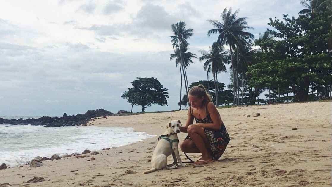 erfahrungsberichte-freiwilligenarbeit-thailand-ko-lanta-tierschutz-andrea-hund-strand-natucate