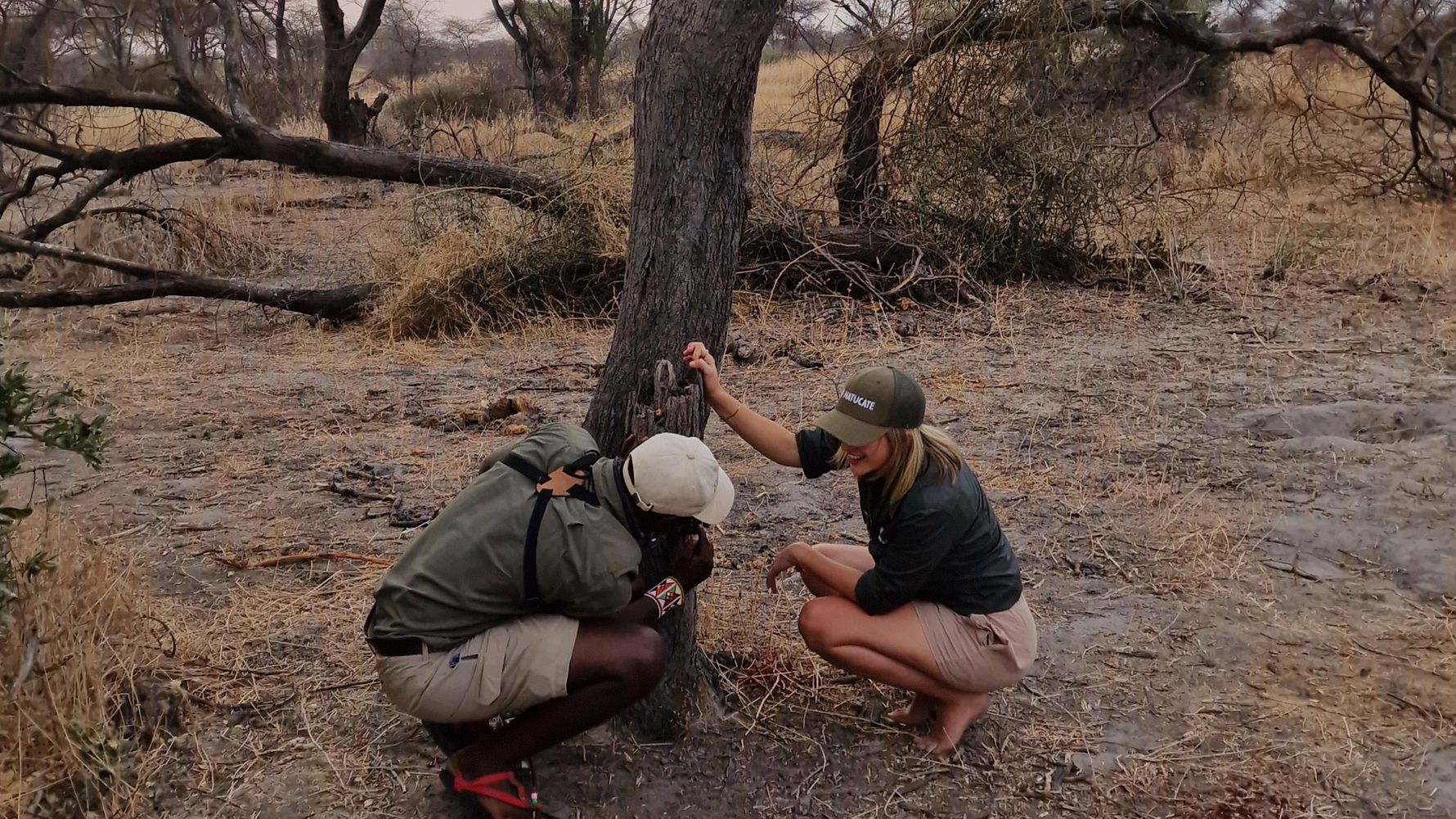 Checking camera trap at tree