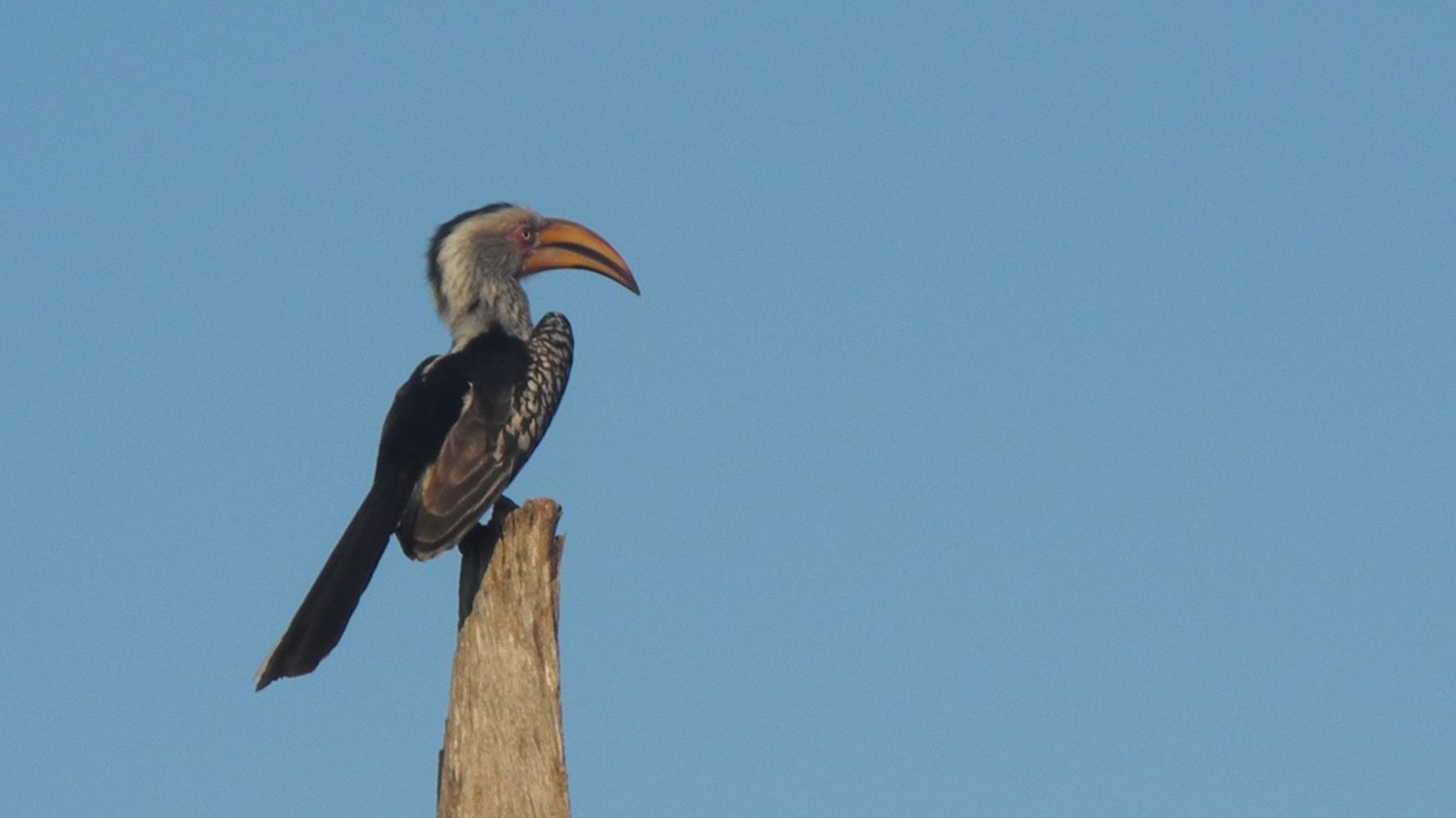 rangerausbildung-suedafrika-botswana-projektbesuch