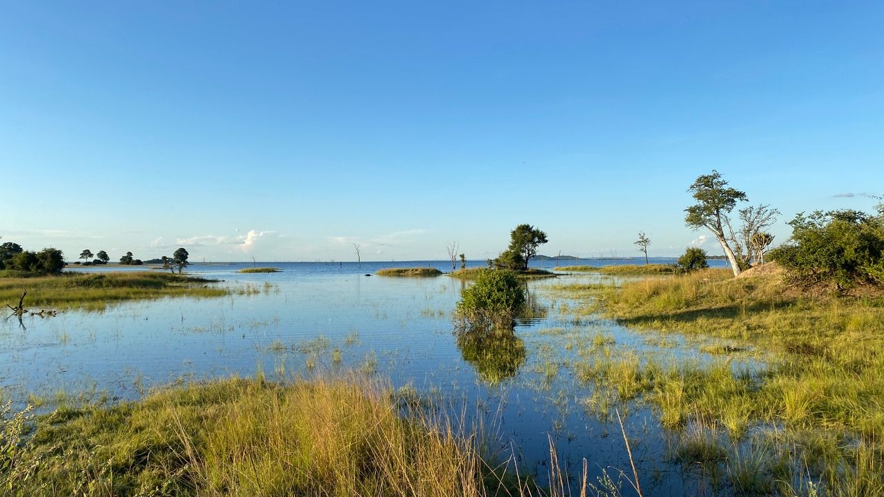 Ein Gewässer, in dem sich umliegende Pflangen spiegeln und ein blauer Himmel