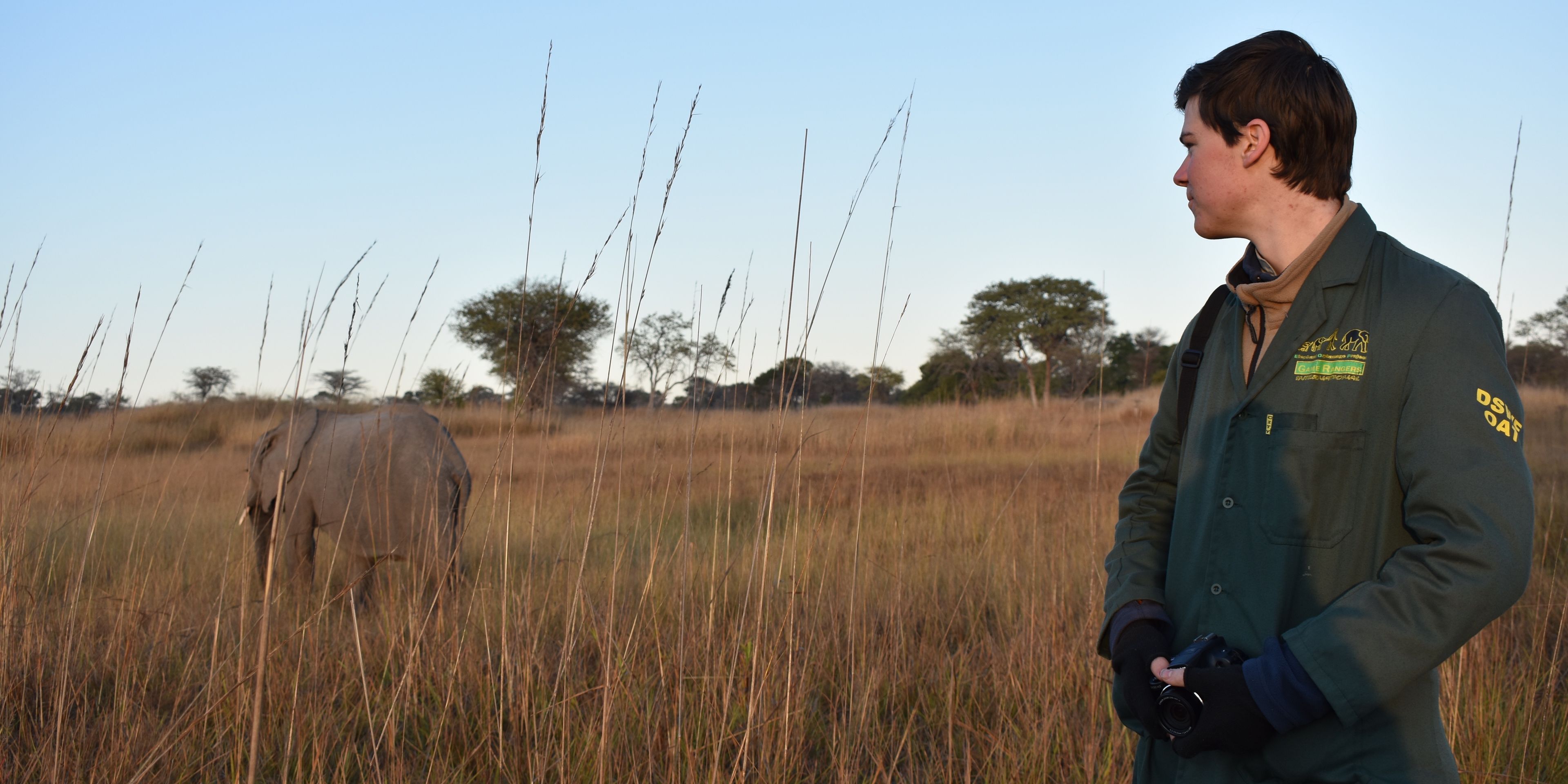 Ein Artenschutz-Volunteer des Elefantenprojekts in Sambia steht im Feld und beobachtet einen Elefanten