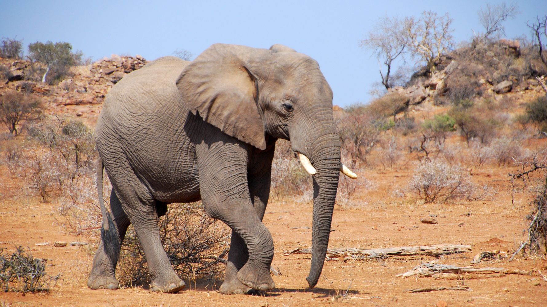 rangerausbildung-suedafrika-botswana-projektbesuche