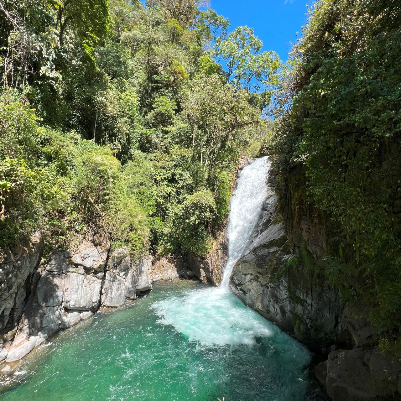 erfahrungbericht-jarne-freiwilligenarbeit-costa-rica-waldschutz-9
