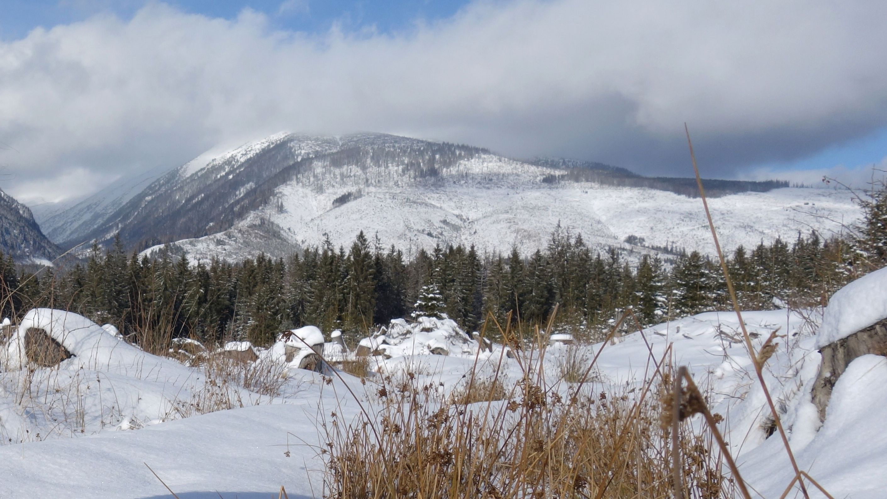 Winterlandschaft von Liptau in der Slowakei