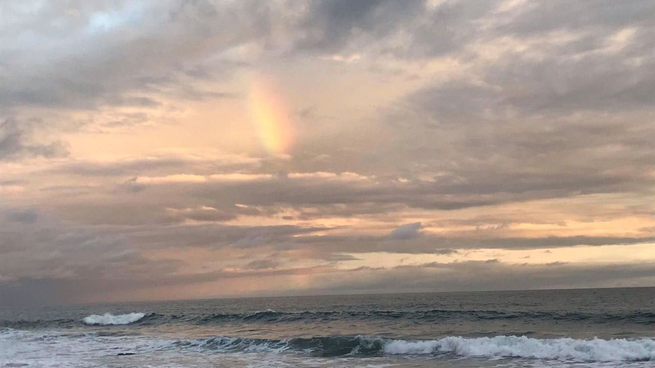 erfahrunsgbericht-costa-rica-praktikum-kundenfotos-artenschutz-meer-natucate