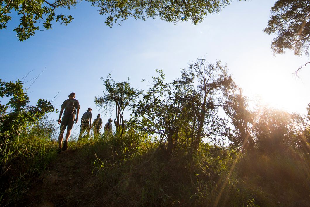 naturkurs-suedafrika-ecostar-naturliebhaber-natucate