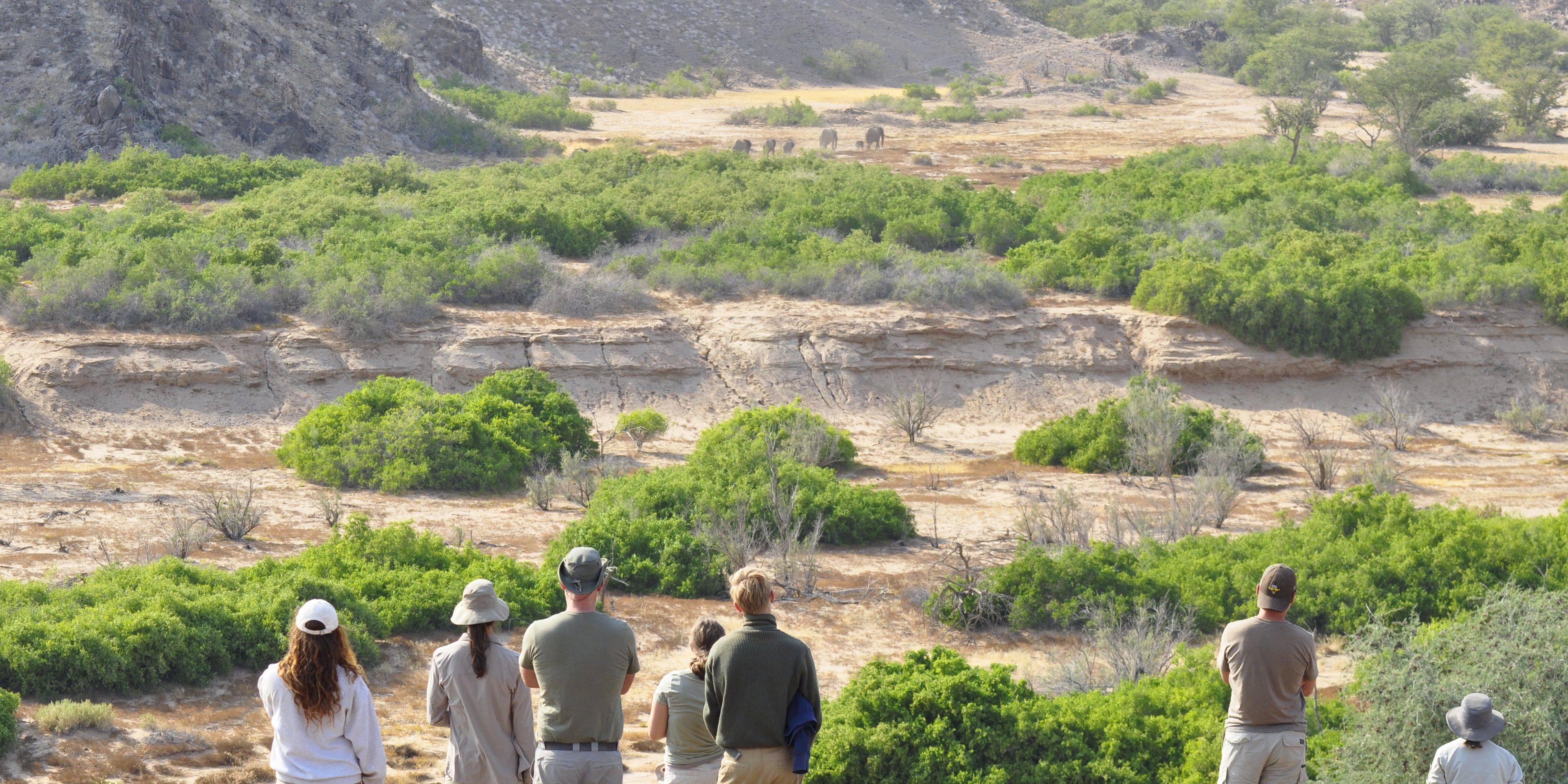 natucate-sabbatical-namibia-elefantenschutz-view-elefanten