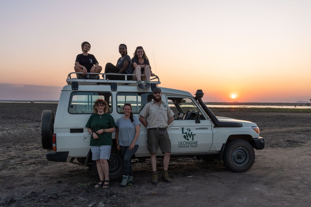 natucate-volunteering-malawi-wildlife-monitoring-experience-game-drive-car-sunset