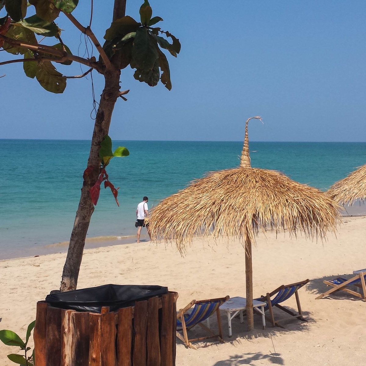 freiwilligenarbeit-thailand-erfahrungsbericht-kundenfotos-tierschutz-natucate