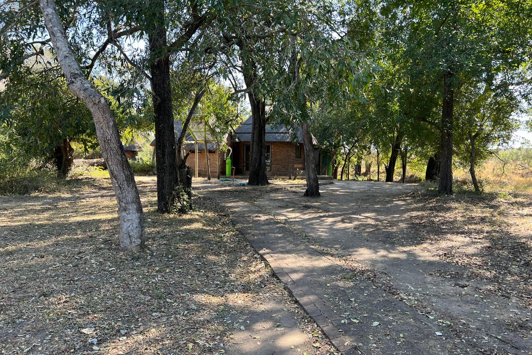 Camp Sabi Sabi in nature