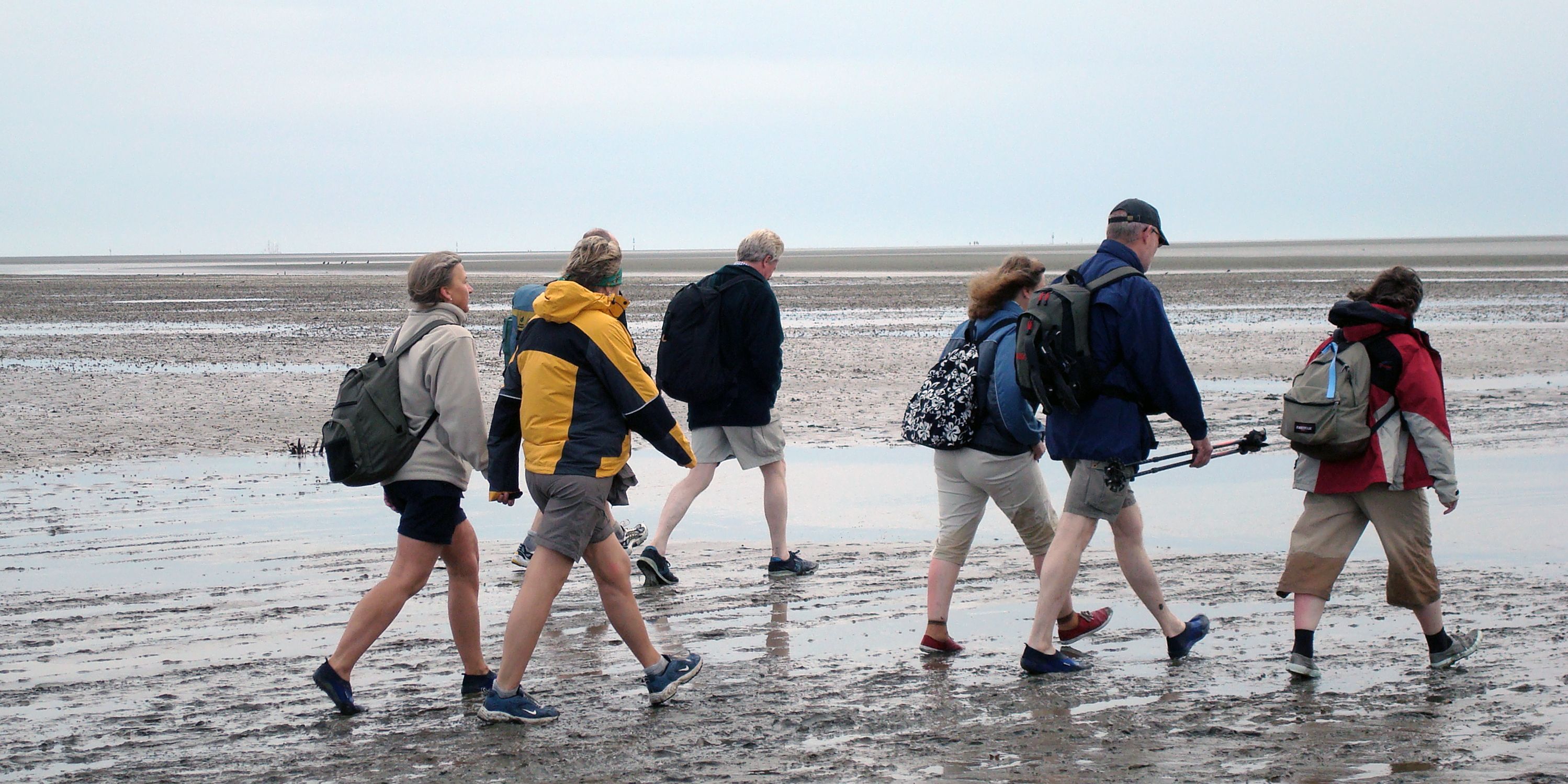 naturreise-deutschland-ostfriesland-ecotour-wattenmeer-reisegruppe-natucate