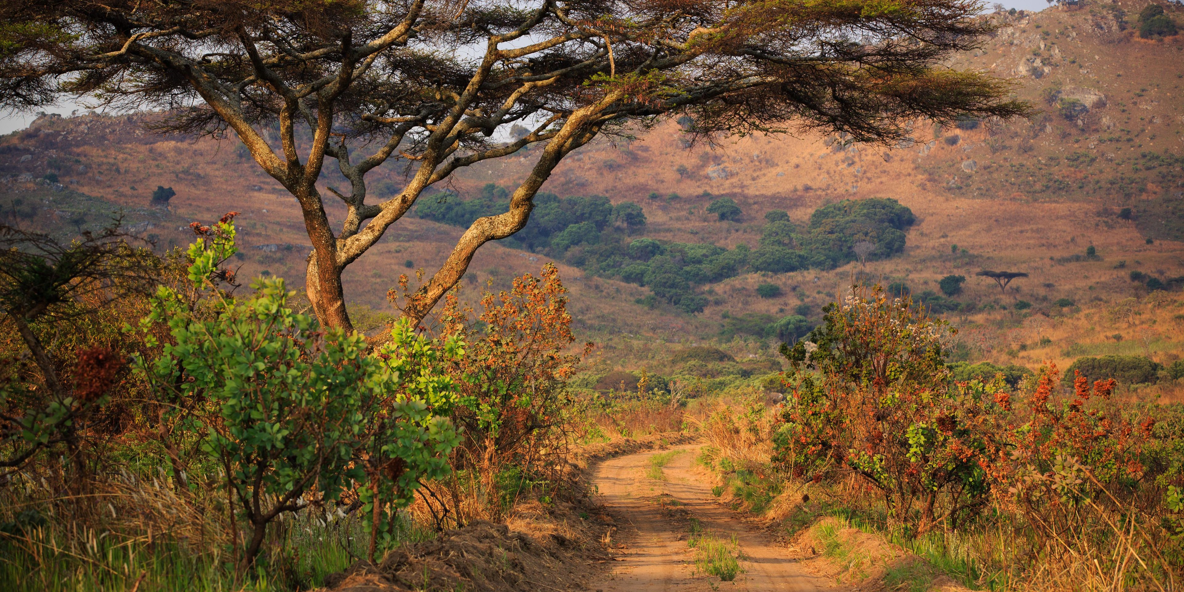 natucate-internship-malawi-wildlife-lilongwe-landscape