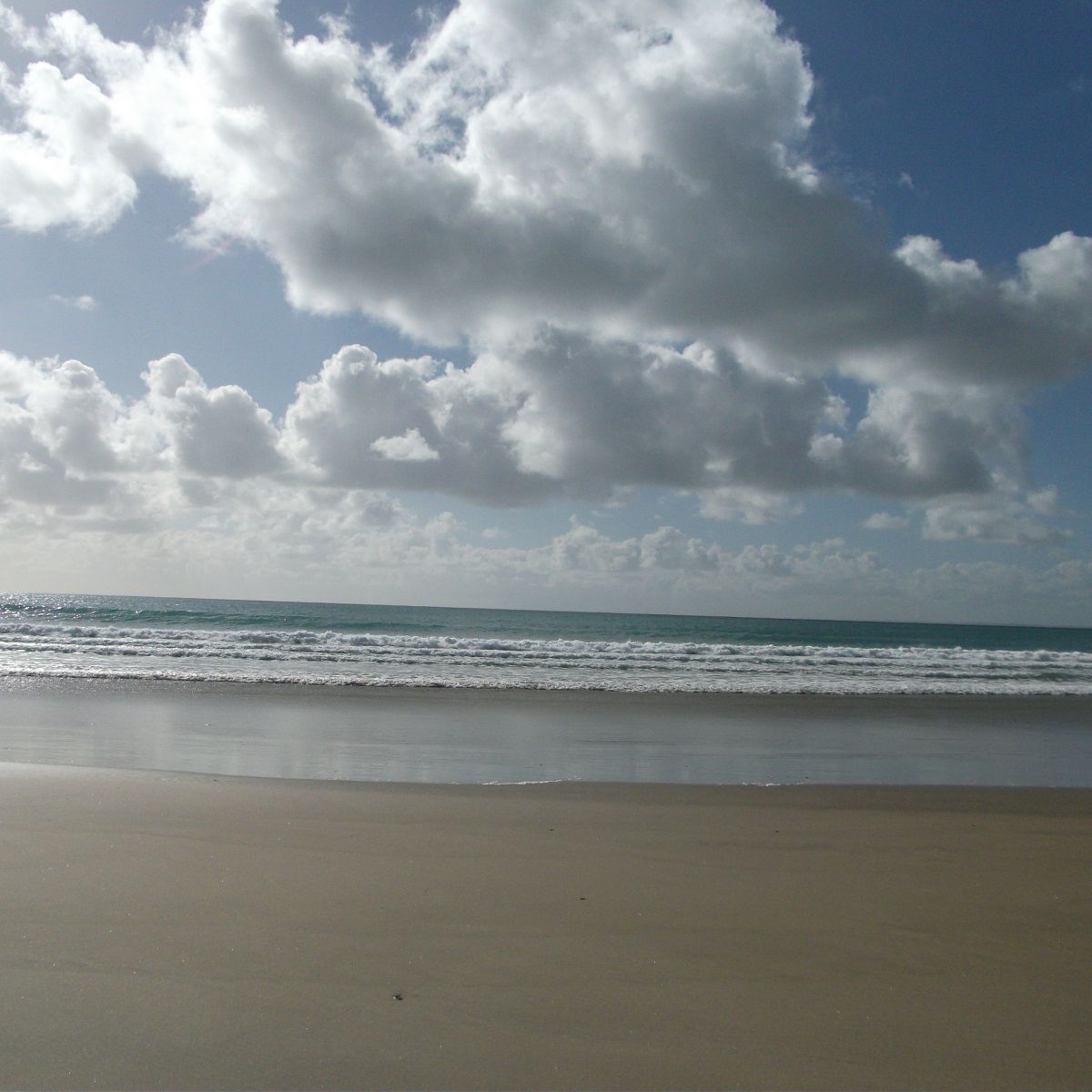volunteering-neuseeland-naturschutz-erfahrungsbericht-meer-kaitaia-natucate