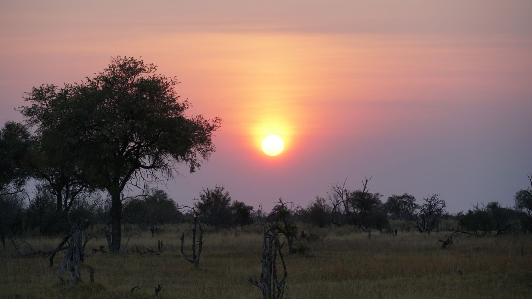 erfahrungsberichte-rangerkurse-botswana-field-guide-training-walter-sonnenuntergang-natucate
