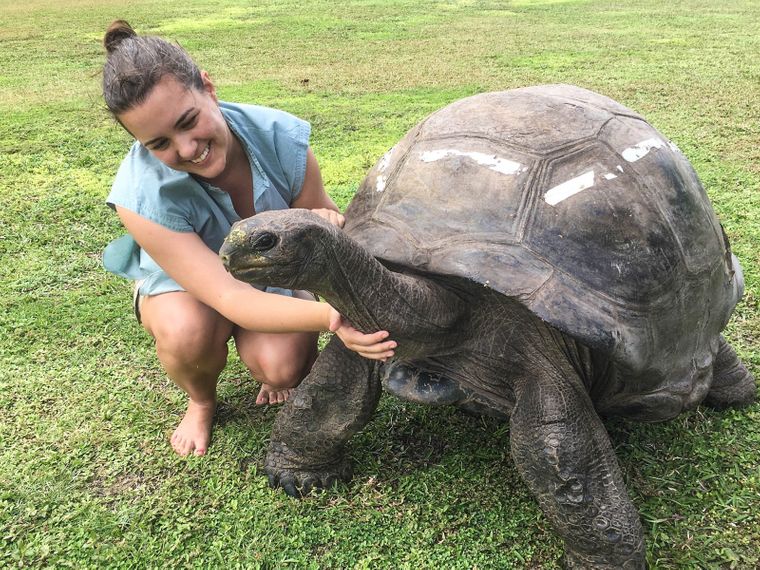 blog-naturwissen-tierschutz-artenschutz-naturschutz-umweltschutz-was-ist-was-schildkroete-natucate
