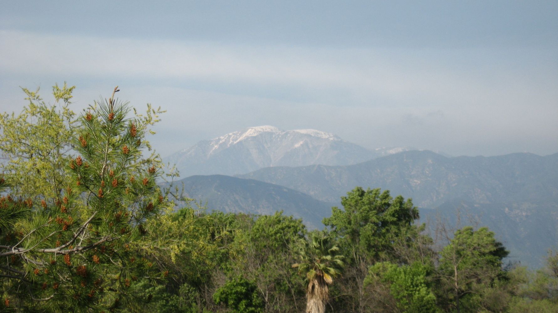 freiwilligenarbeit-usa-kalifornien-erfahrungsbericht-naturschutz-gebirge-natucate