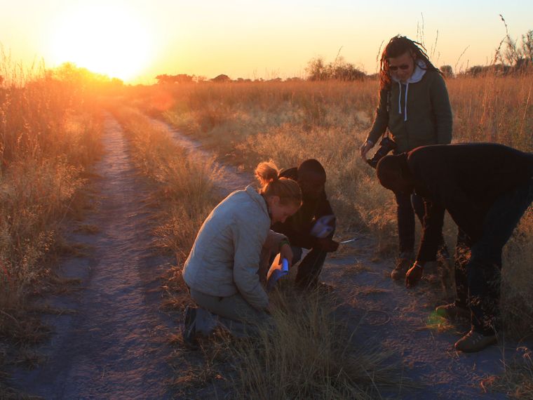 blog-sabbatical-planung-spuren-natucate