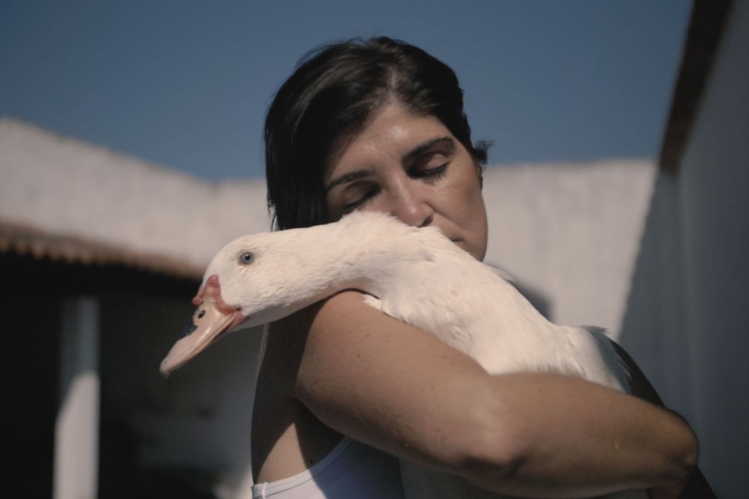 Tierliebhaber kümmer sich um die Tiere im Tierschutz