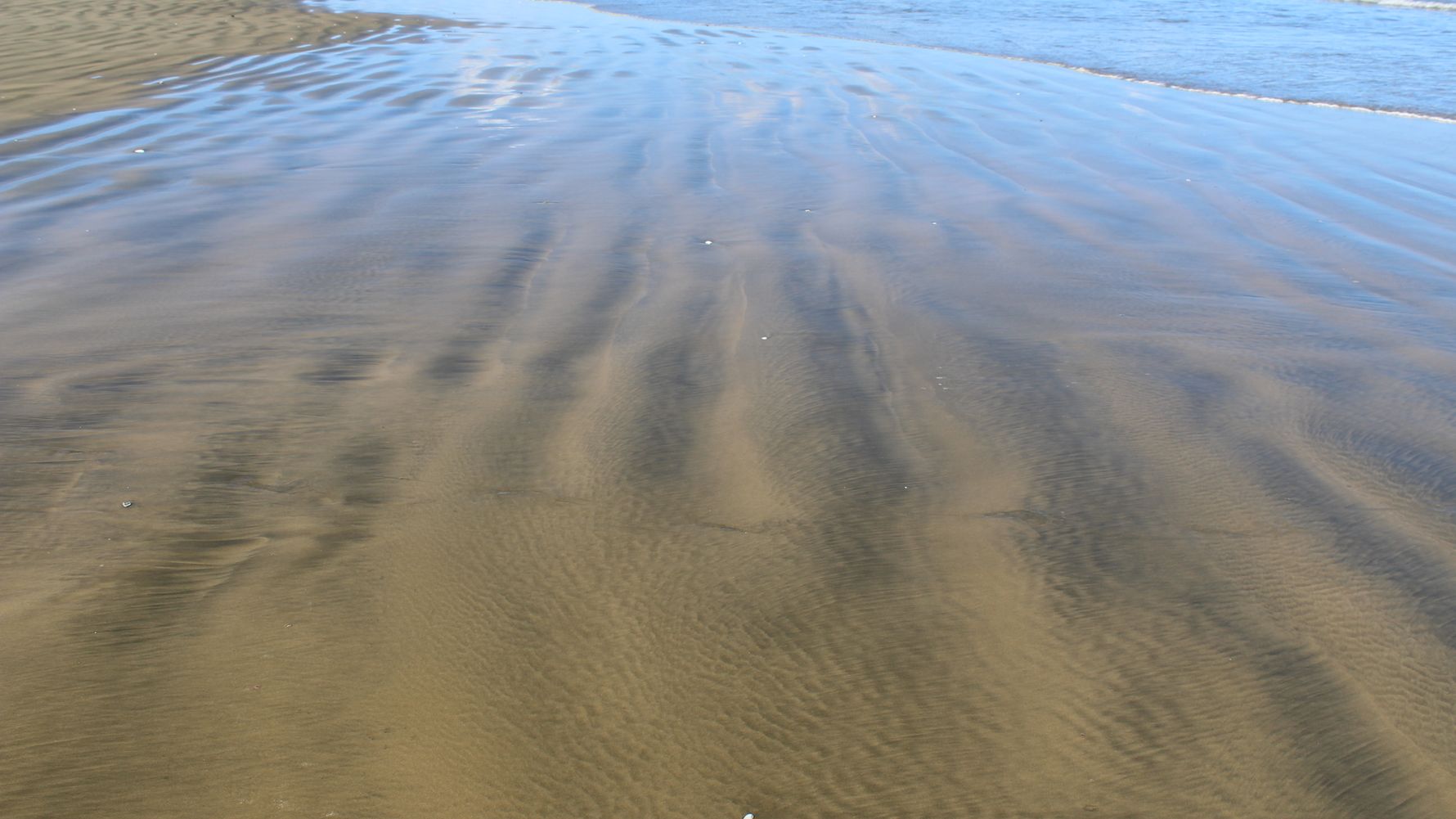 Naturguide: Ein Stueck Strand an der suedlich afrikanischen Kueste