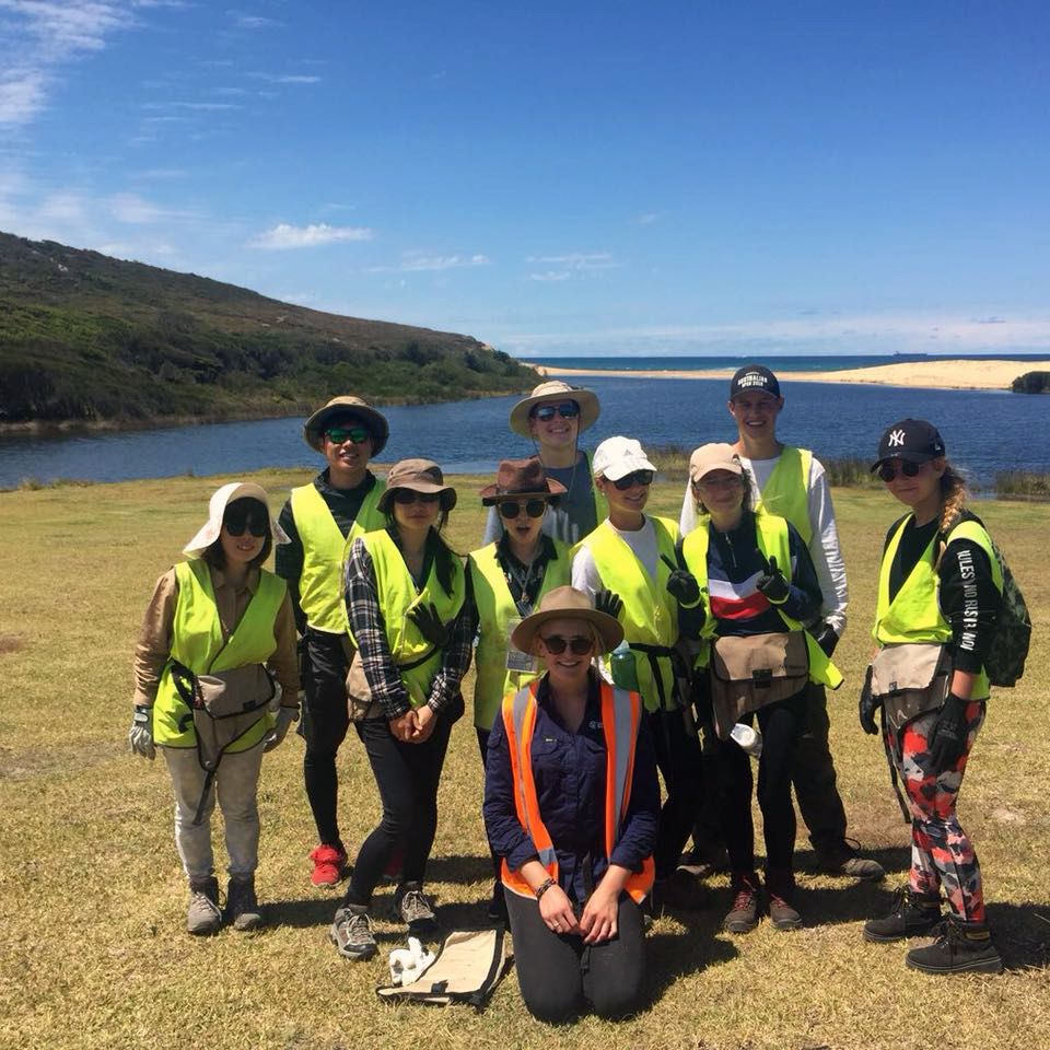 freiwilligenarbeit-australien-erfahrungsbericht-naturschutz-arbeit-natucate