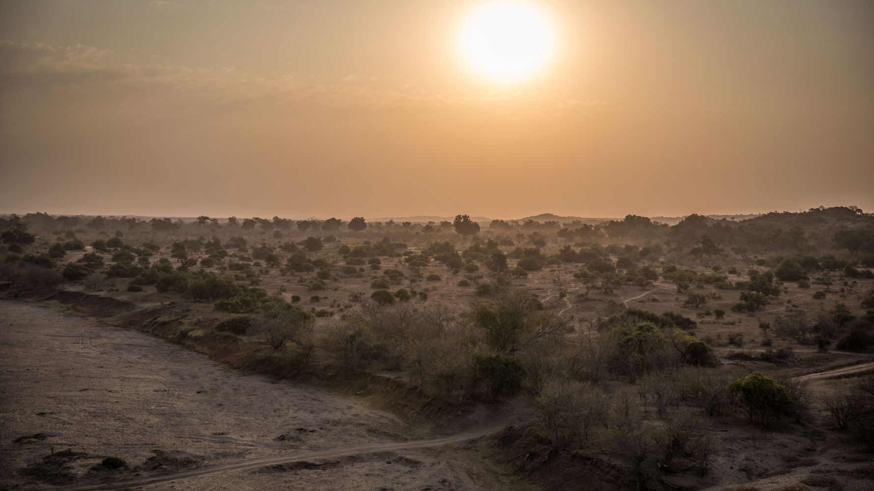 Field-Guide-Ausbildung: Blick auf die afrikanische Savanne