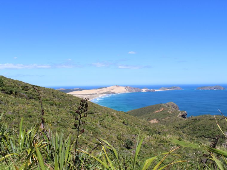 nationalparks-neuseeland-cape-reinga-blog-natucate