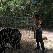 erfahrungsbericht-usa-florida-wildlife-vor-ort-tierschutz-futter-natucate